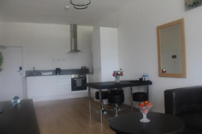 Flat 413 One bedroom apartment
